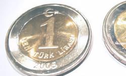 Featured image of post Nova Lira Turca e o Euro