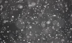 Featured image of post Neve!!